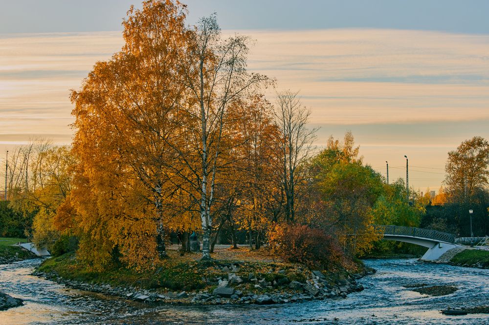 Photograph by Ilya Merkulov