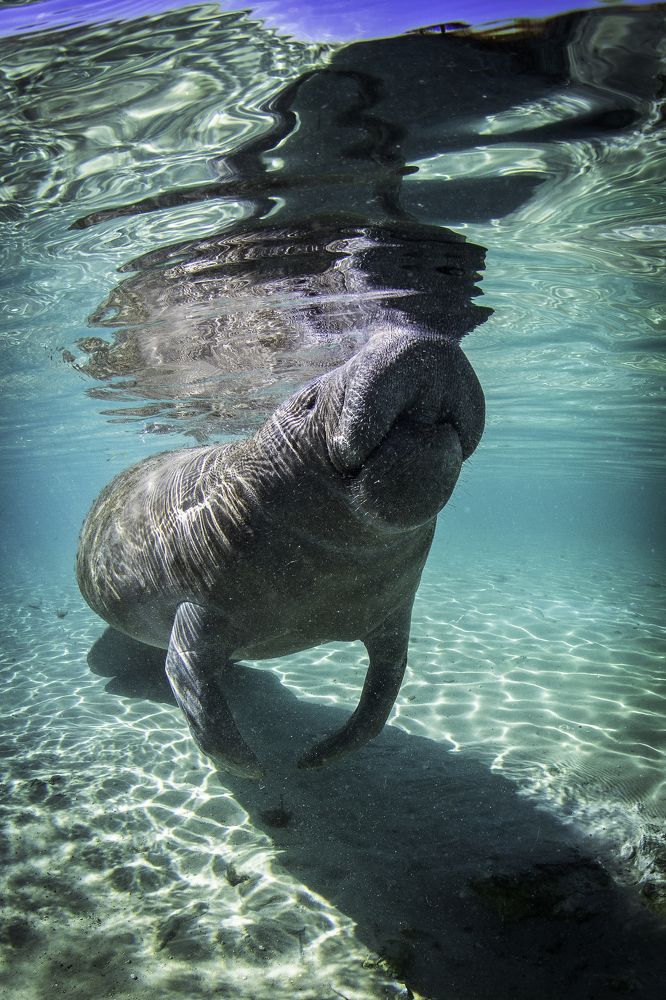 Photograph by Merche Llobera