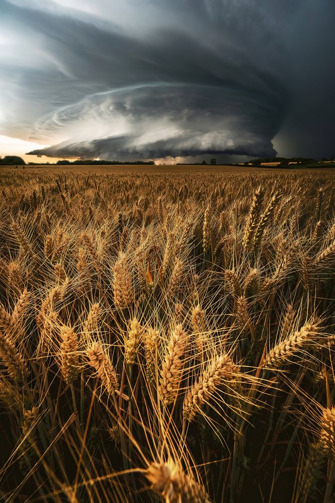 Photograph by Selaru Ovidiu