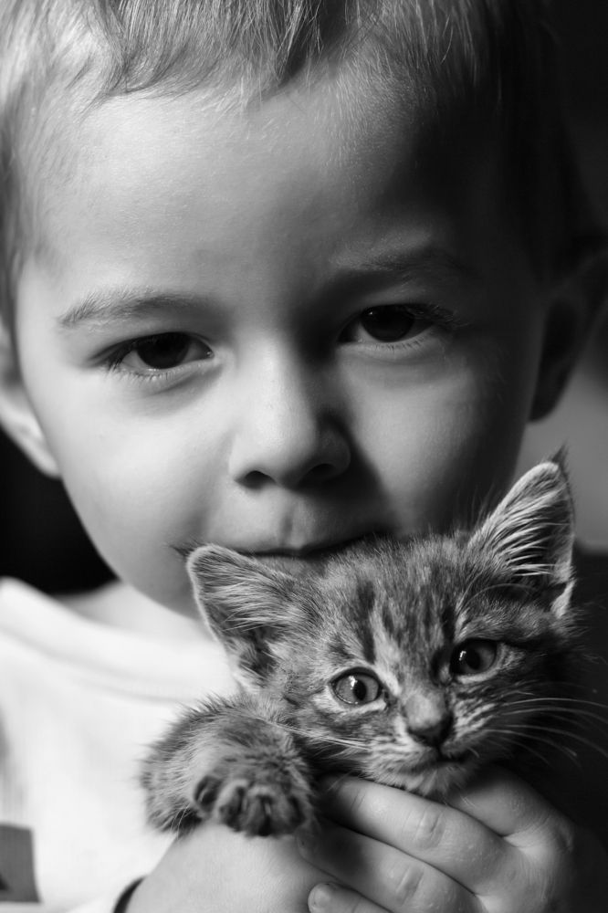 Photograph by Студия Данила