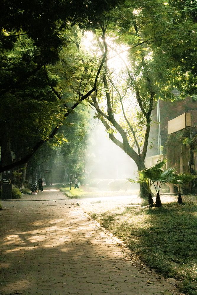 Фотография автора An Nguyen Quoc