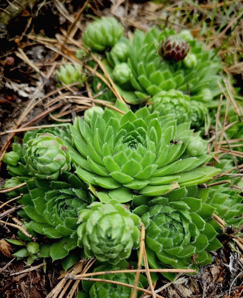 Photograph by Владимир Кривенко