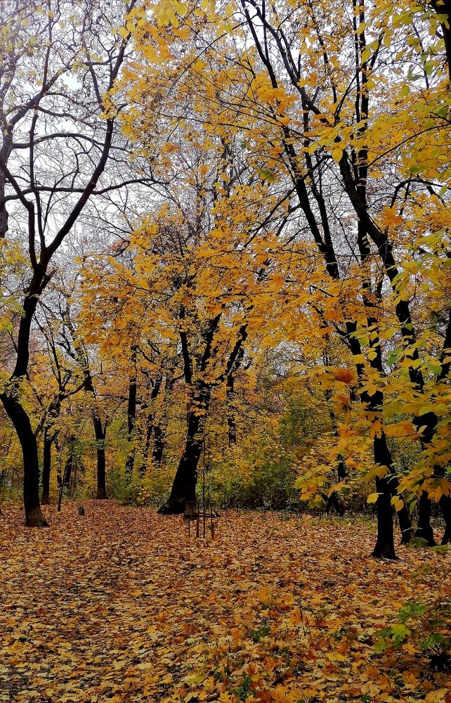 Photograph by Кристина Шмырева