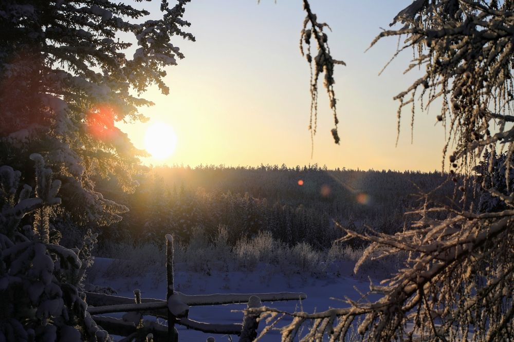 Photograph by Герасимов Эдуард