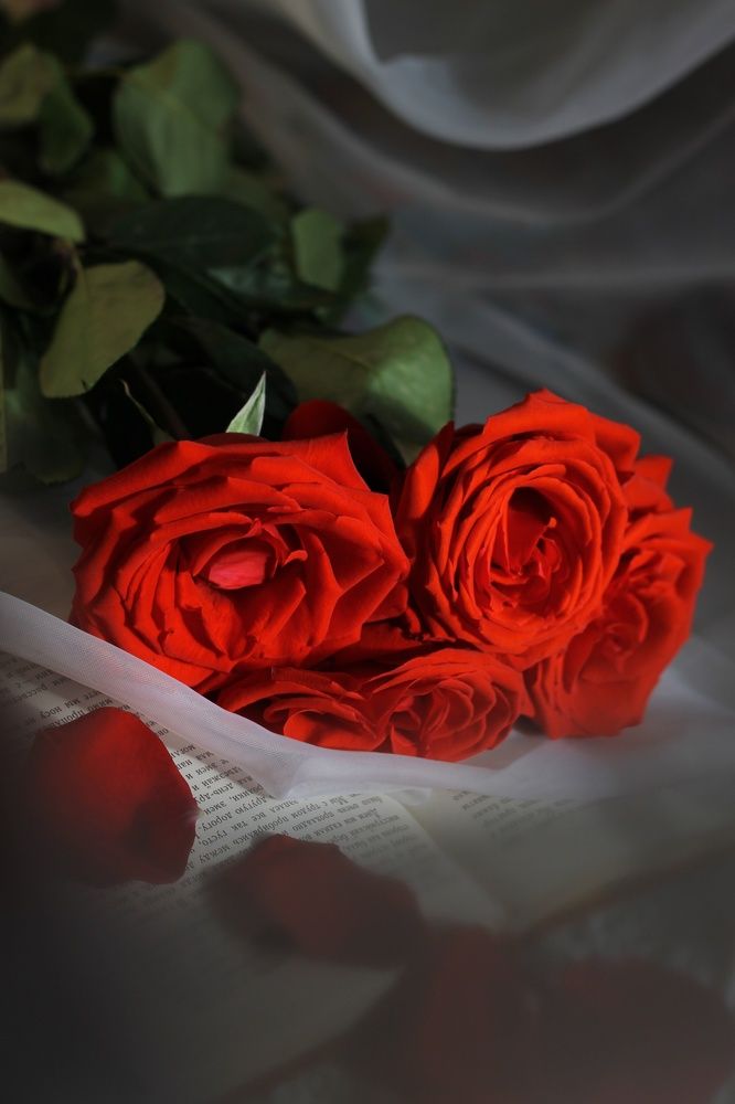 Photograph by Алёна Вороная