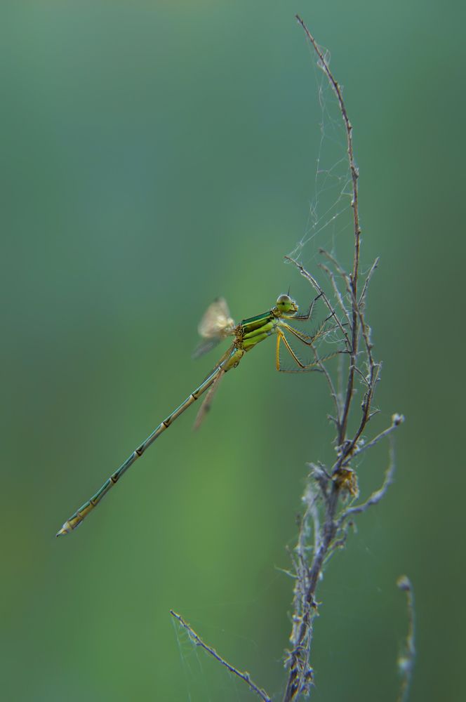 Photograph by Павел Колеснев