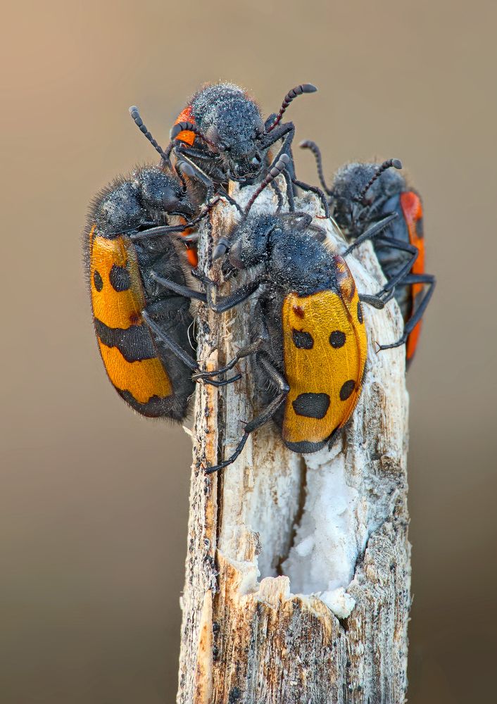 Photograph by Павел Колеснев