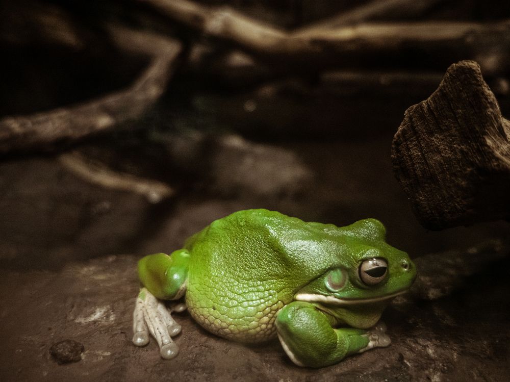 Photograph by Владимир Алейников