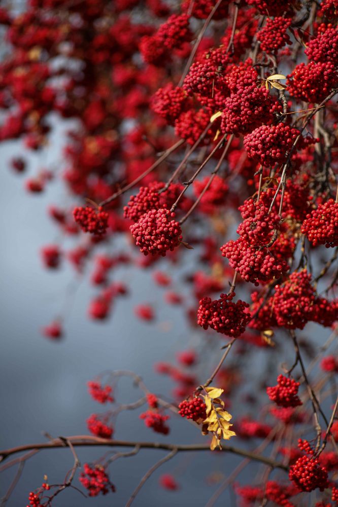 Photograph by Светлана Кавказская