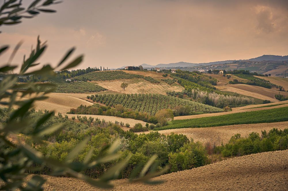 Photograph by Olga Hartmann