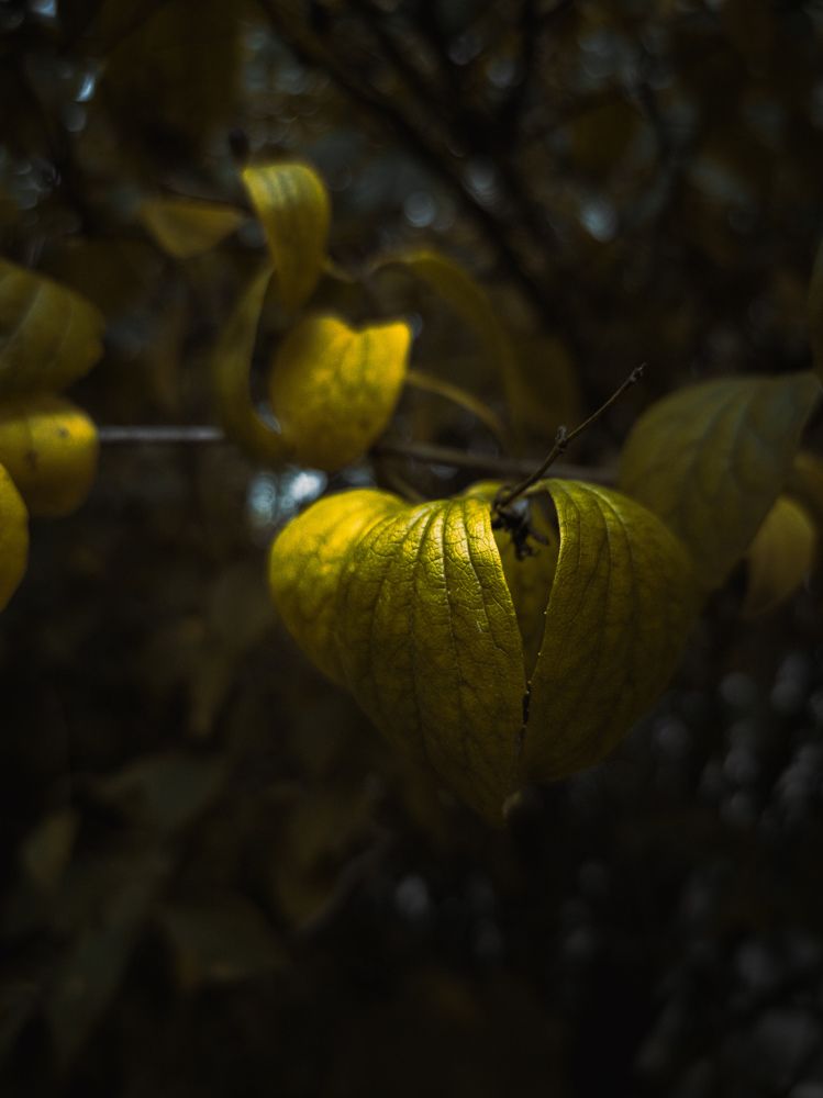 Photograph by Владимир Алейников