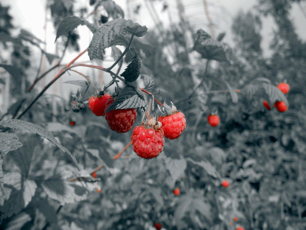 Photograph by Андрей Головин