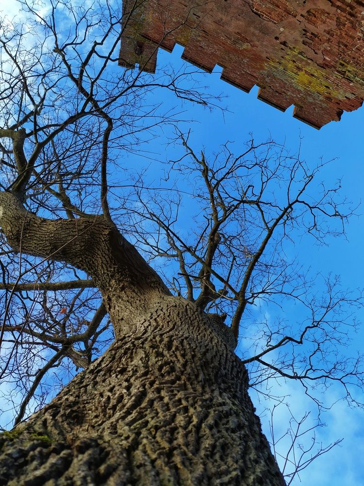 Photograph by Татьяна Григорьева