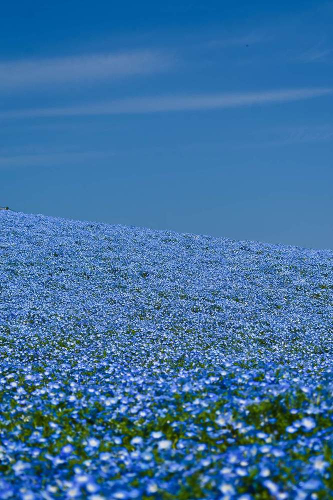 Фотография автора Sen Abhijit