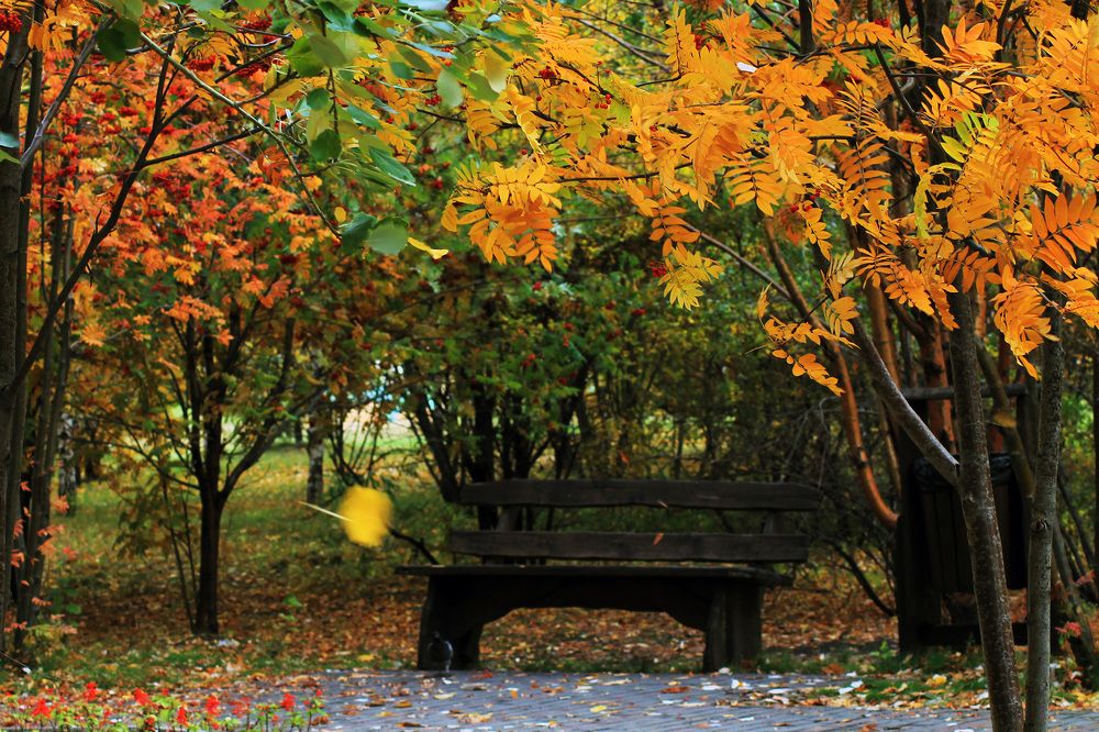 Photograph by Ekaterina Torganskaia