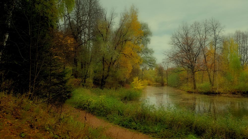 Осень в Середниково