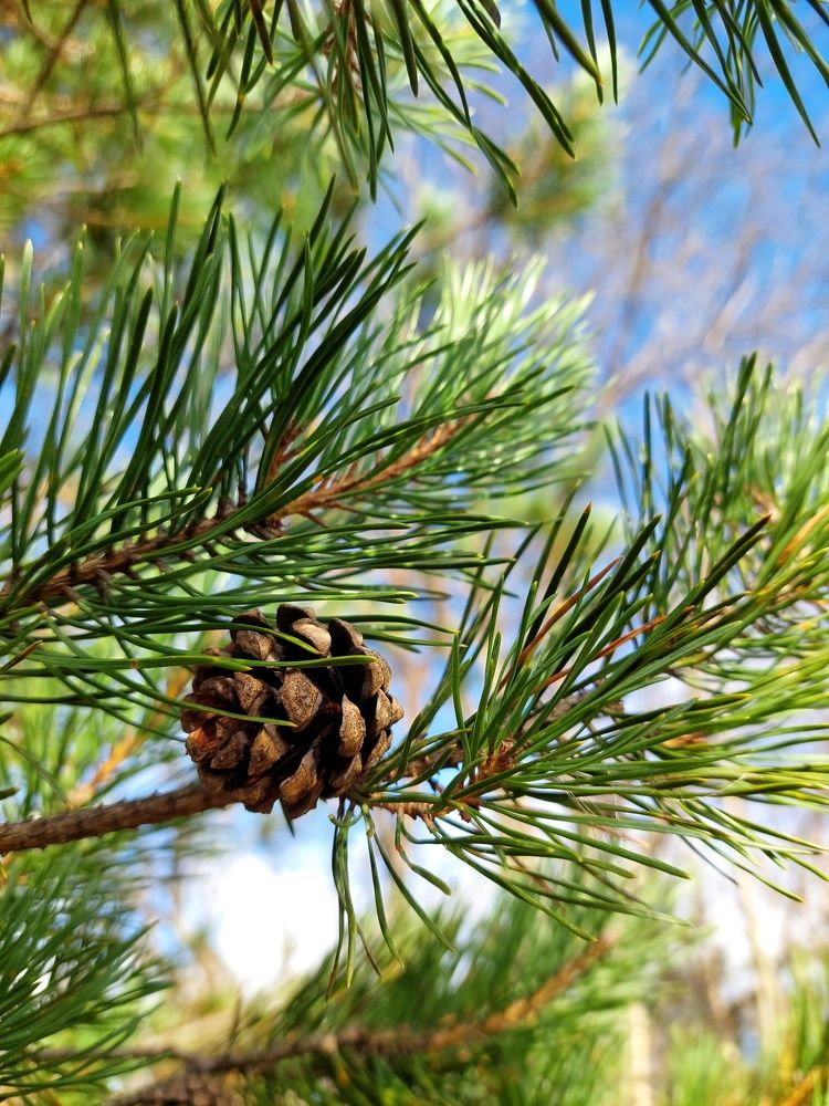 Photograph by Алёна Вороная