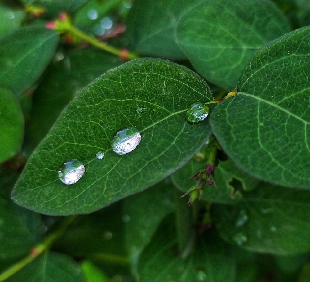 Photograph by Татьяна Григорьева