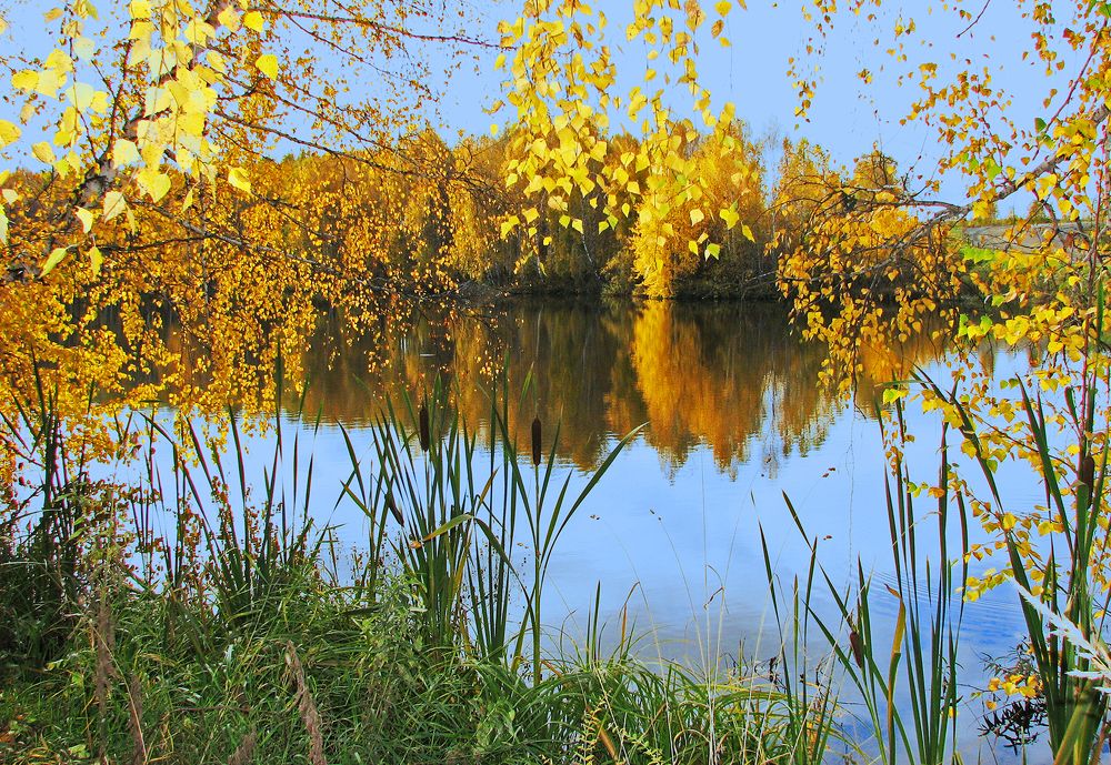 Photograph by Николай Останин