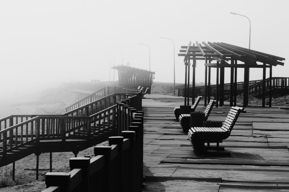 Photograph by Anna Turks