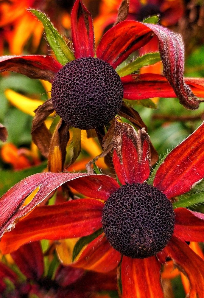 Photograph by Татьяна Григорьева