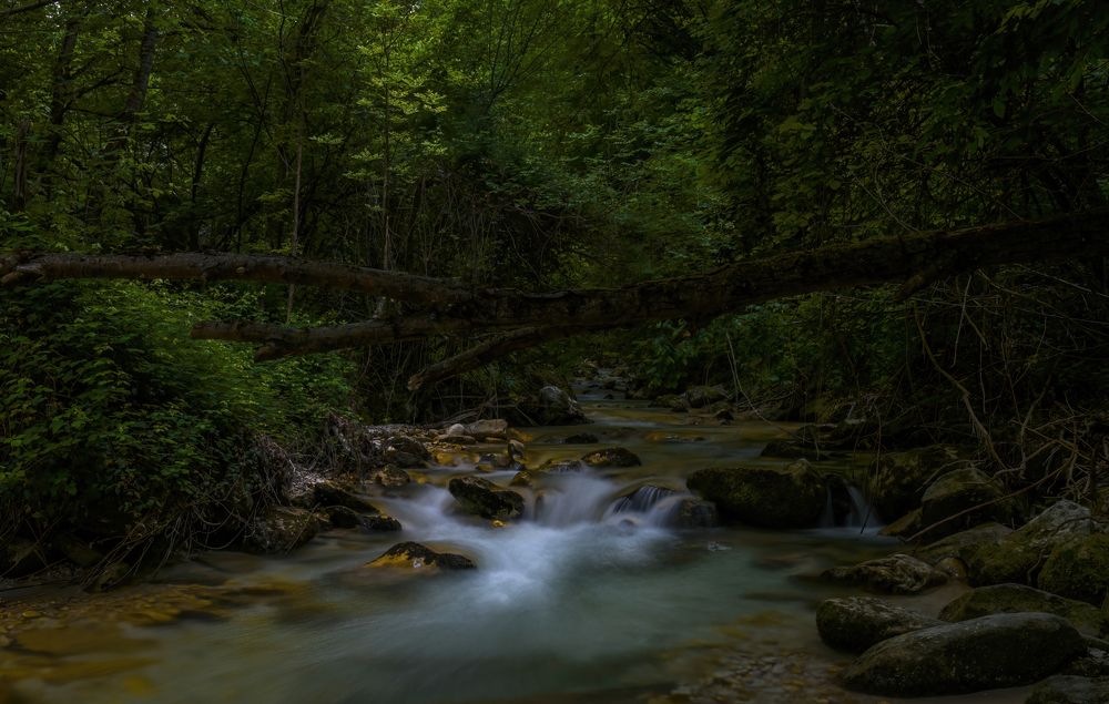 Photograph by Roberto Miniero