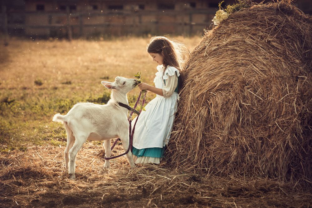 Photograph by Наталья Вистинь