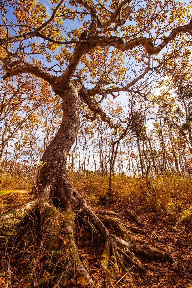 Photograph by Anna Turks