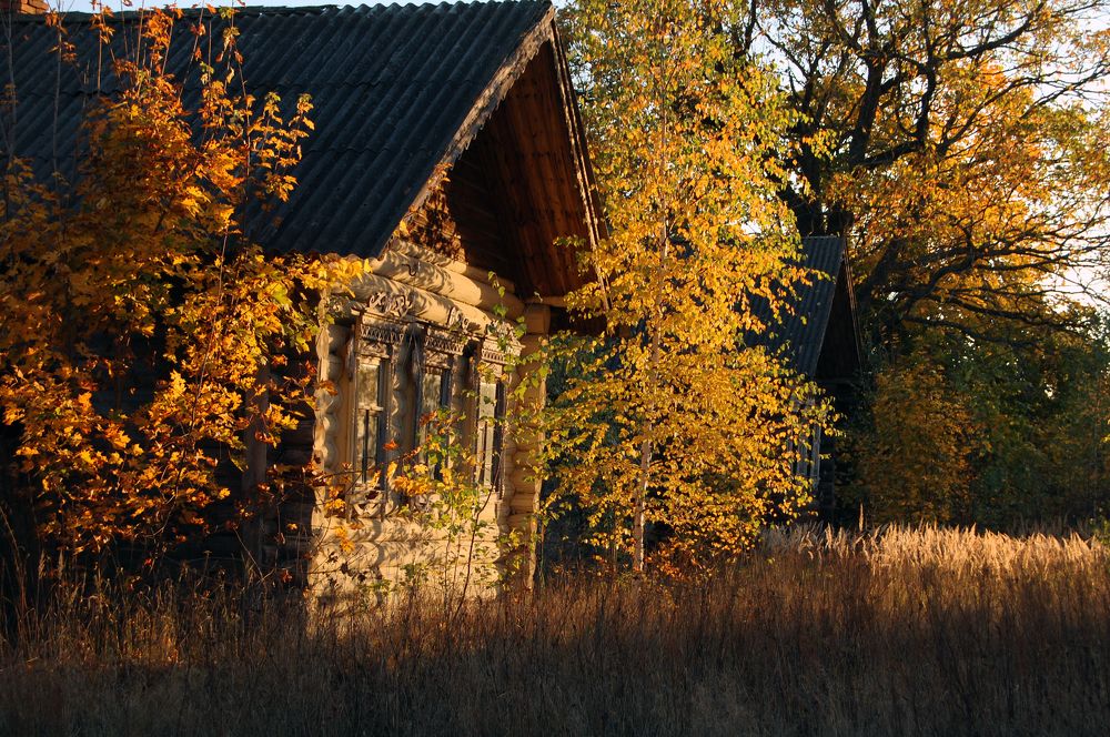 Photograph by Майя Синичкина