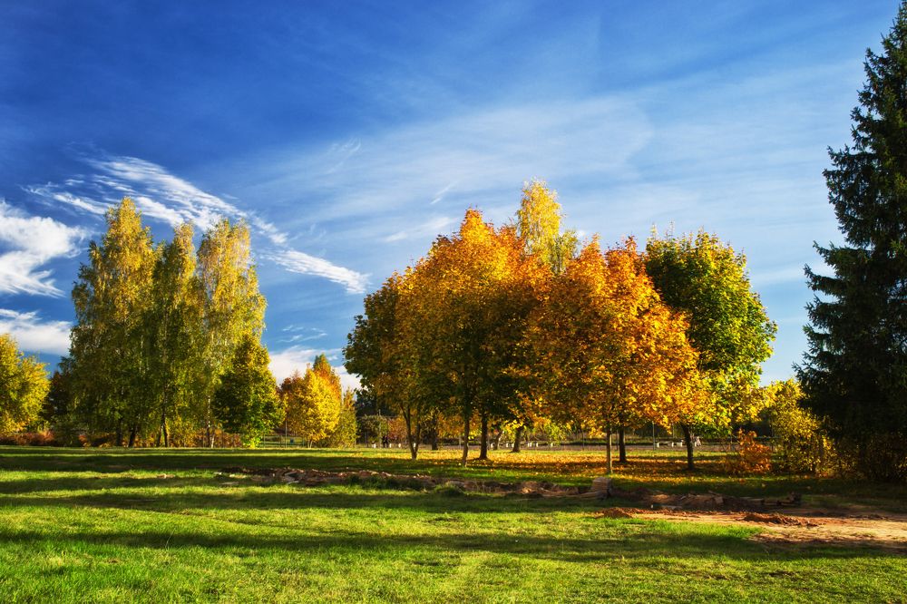 Фотография автора Юлия Кранина