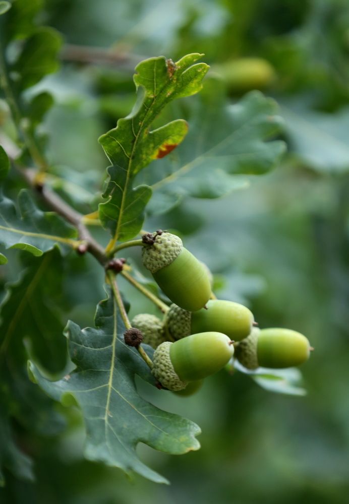 Photograph by Унку Юрий