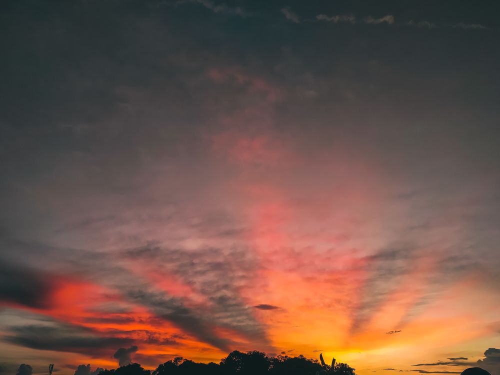 Фотография автора DAVIDJHON Gusi