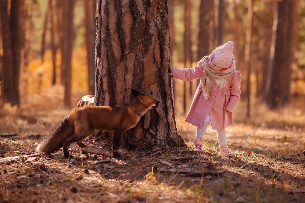 Photograph by Екатерина Белкина