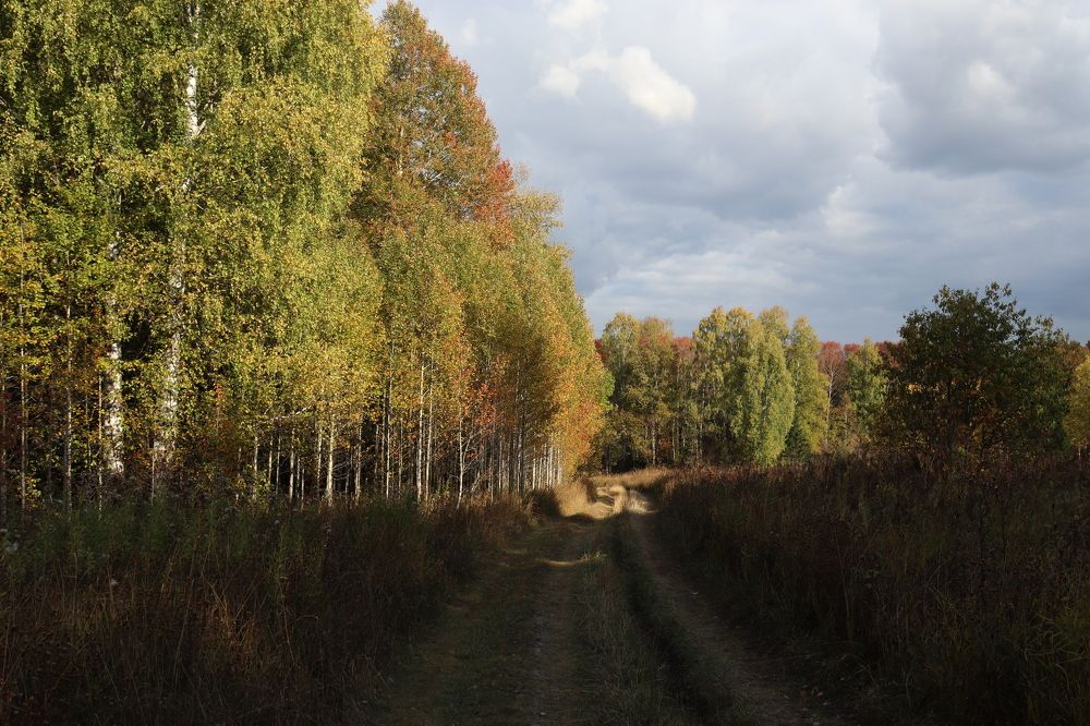 Photograph by Анна Горбунова