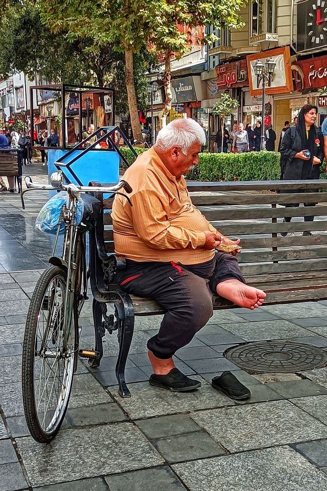 Фотография автора Elahe Fa