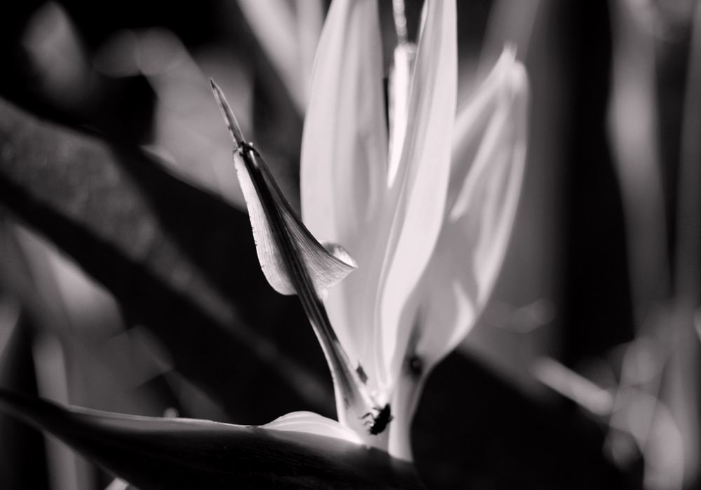 Фотография автора Silvia Tereza Ferrante de Lima