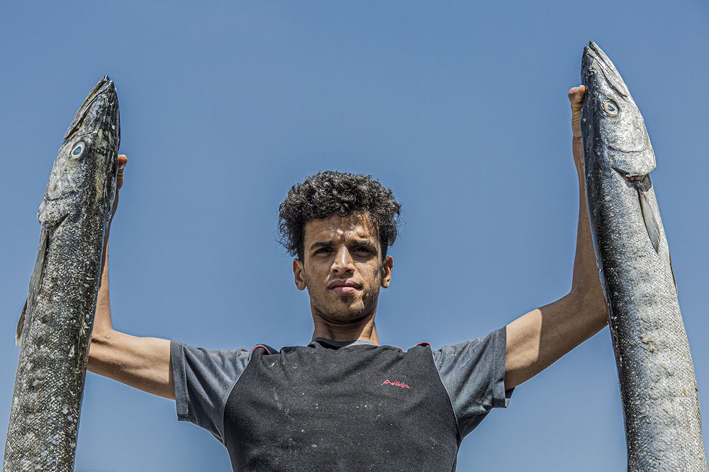 Photograph by seyed mostafa yousefi