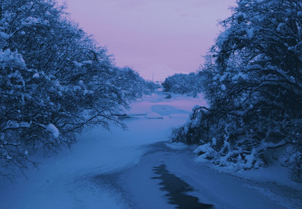 Photograph by Ирина Чечкина