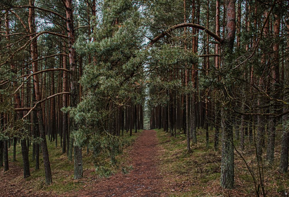 Photograph by Людмила Сливкина