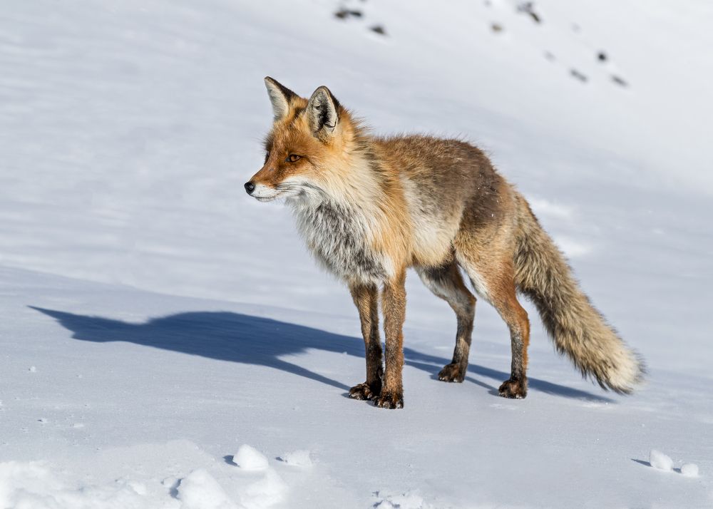 Photograph by Константин Кукушкин