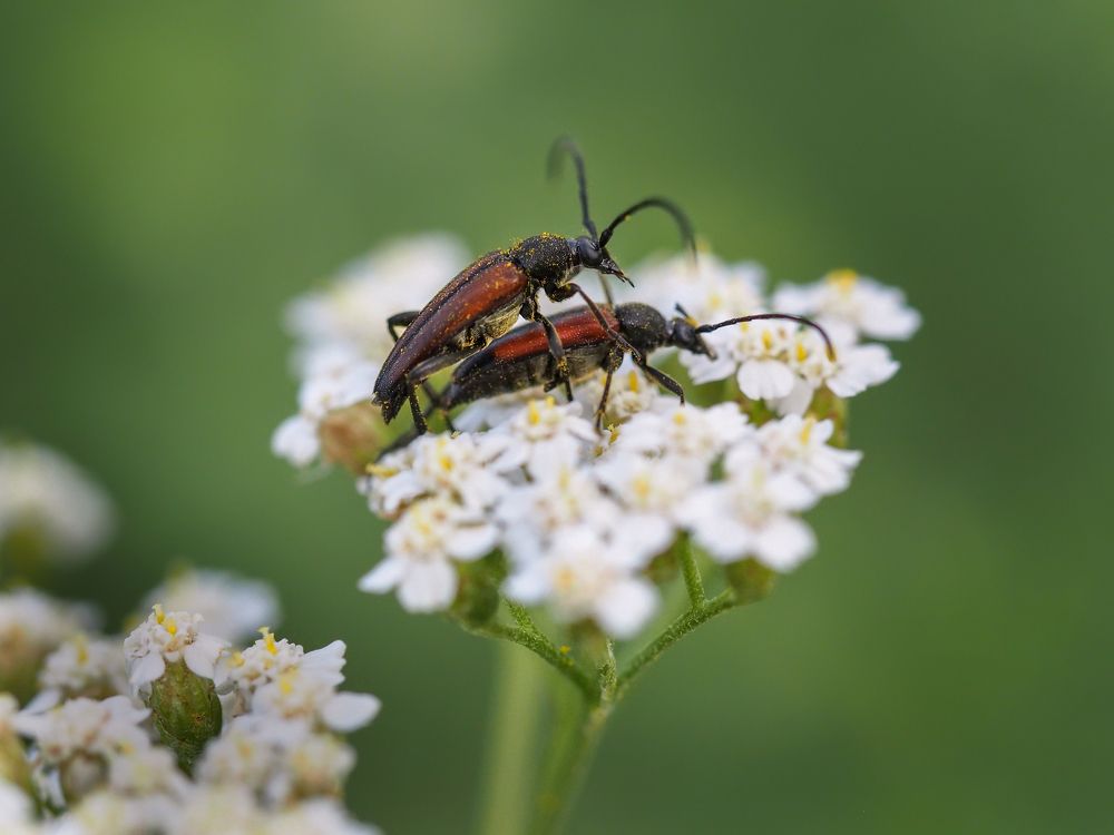 Photograph by Александр Попов