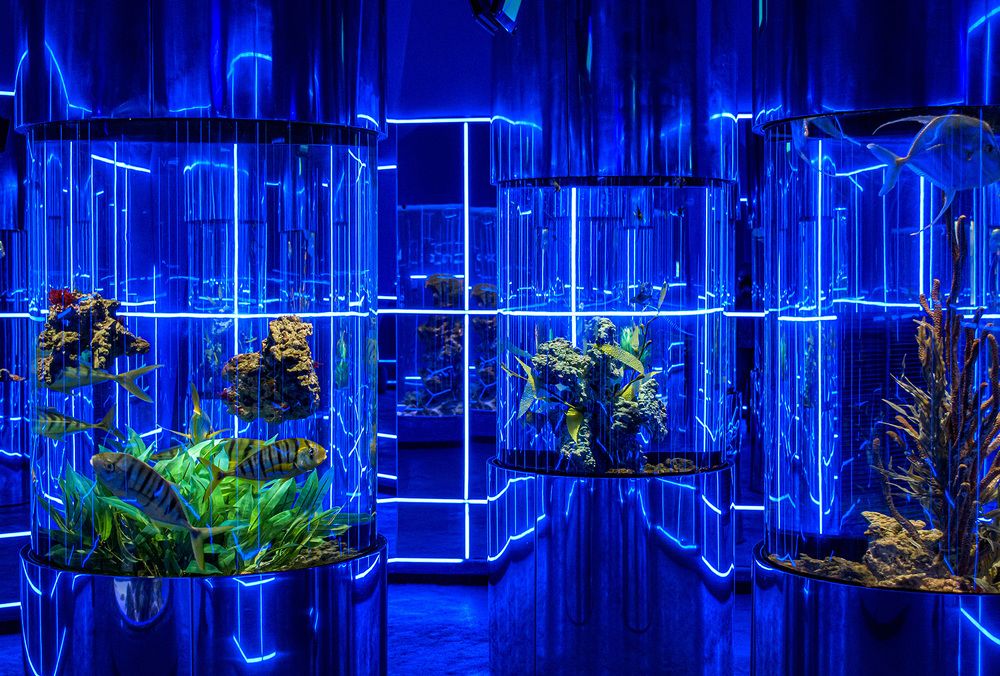 В океане/In the ocean