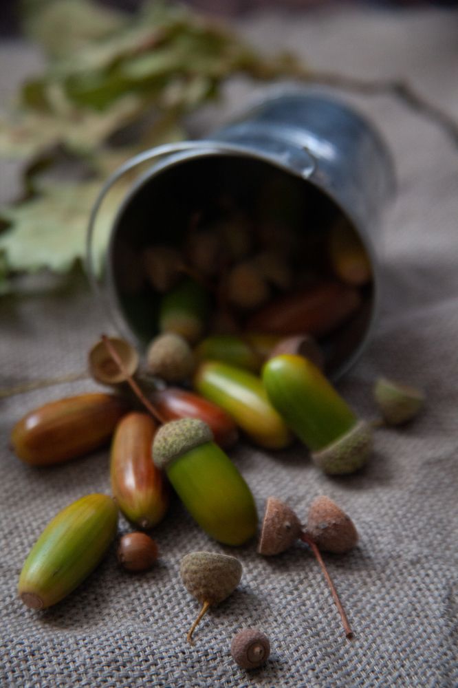 Фотография автора Наталья Вербина