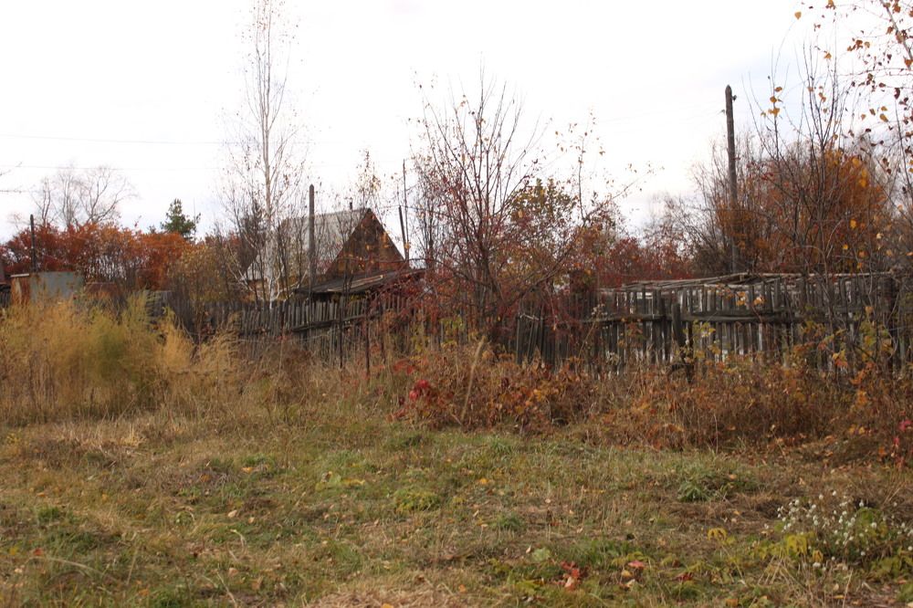 Photograph by Валерия Комаровская