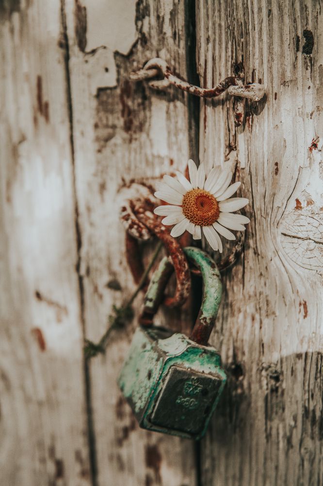 Фотография автора Наталья Вербина