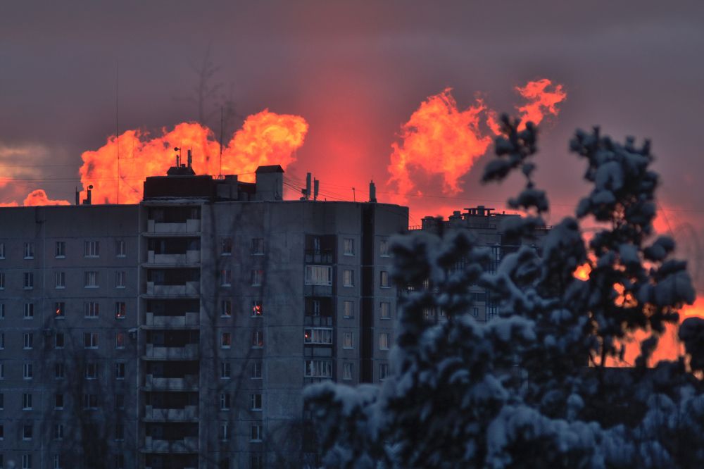 Фотография автора Настя