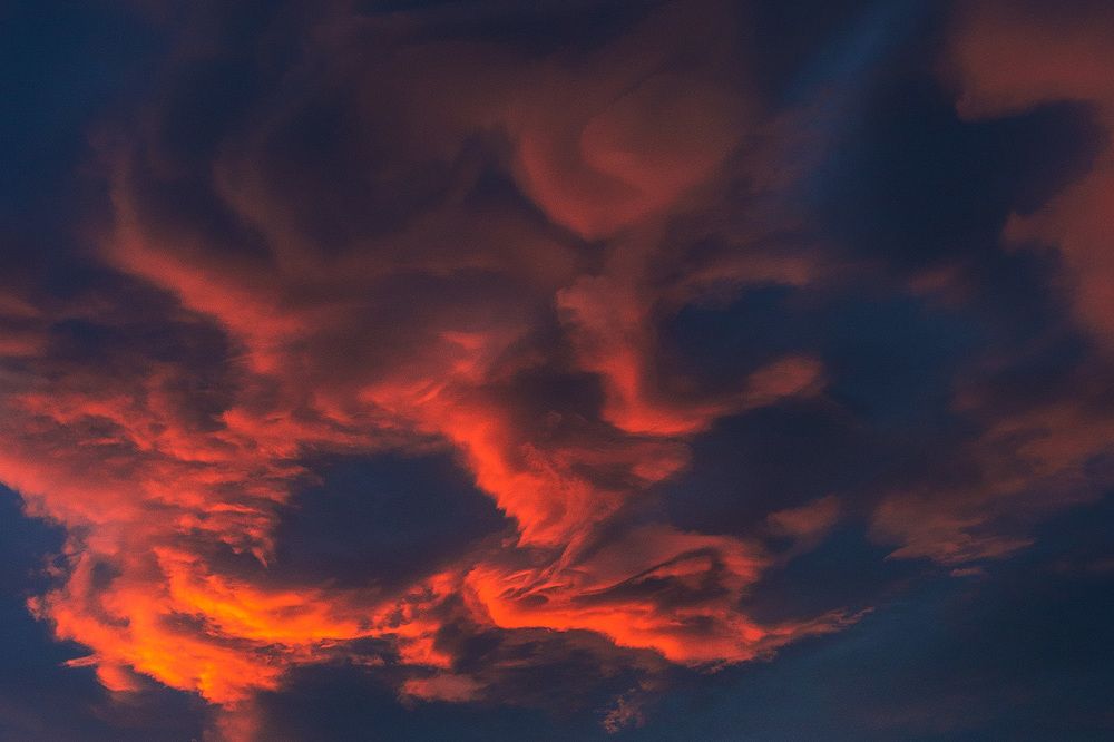 Photograph by Ali Memari