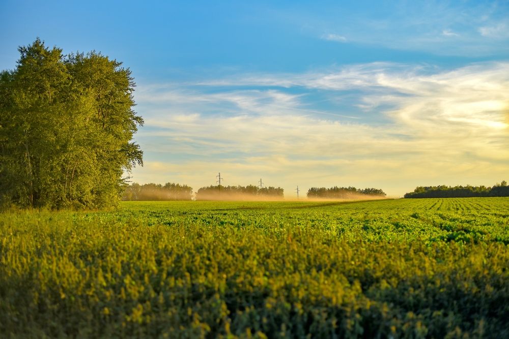 Photograph by Мария Опритова