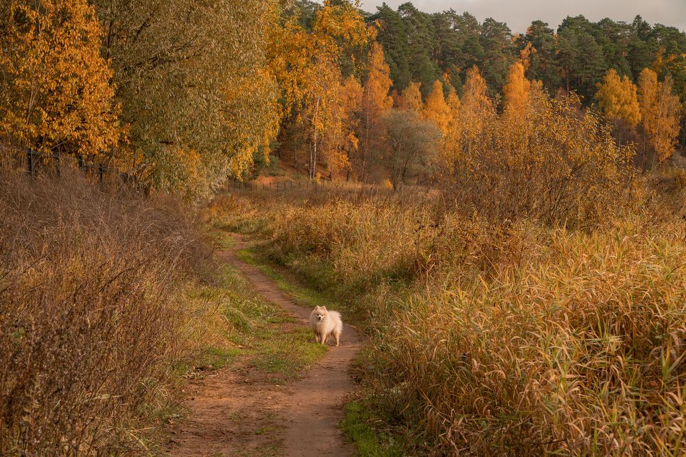 Photograph by Екатерина Чичкова