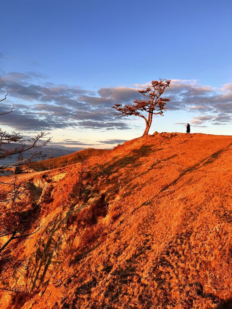 Photograph by Наталья